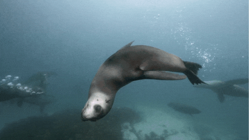 2025年12月澳洲旅行终极指南：8大必去目的地+避坑攻略