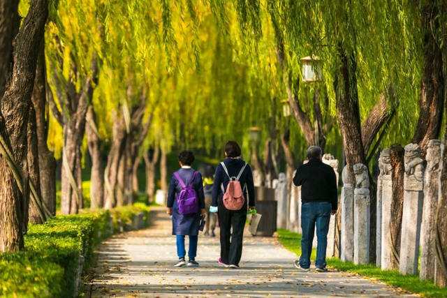 落叶缓扫，在曲江邂逅一场初冬浪漫！