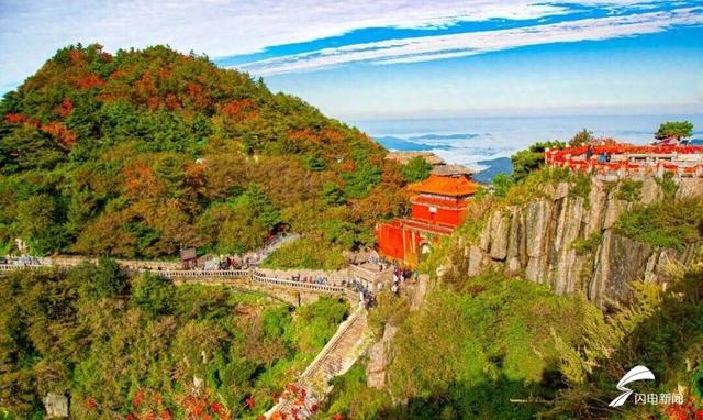 组图丨秋日登高 看泰山花楸染红岱顶