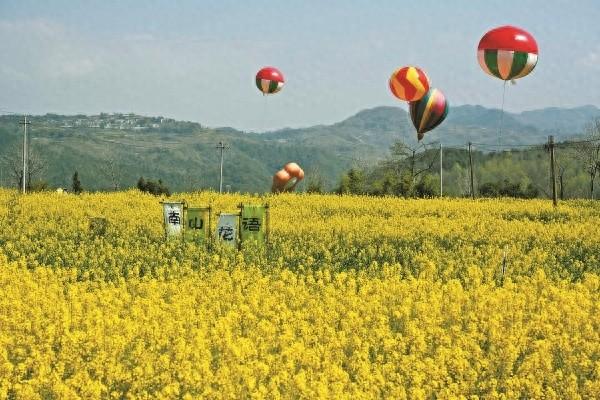 沿着高速去赏花 宁波推出三条精品线路