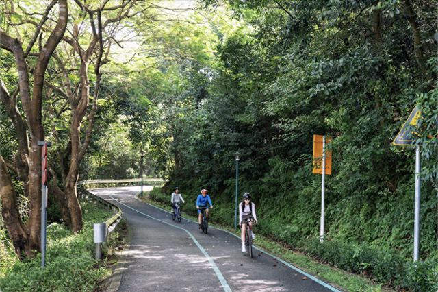 成长公园小游戏攻略（山海骑遇大湾区）