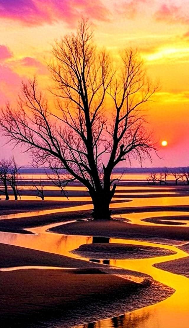 站桩最高心法：不拼蛮力，只练“气贯全身”的通透感