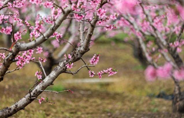 2025年10月30日 第44页