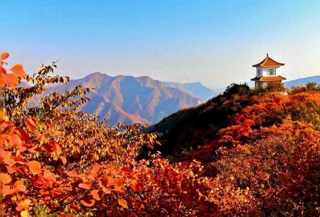北京香山红叶季来了，但99%的人都去错了时间