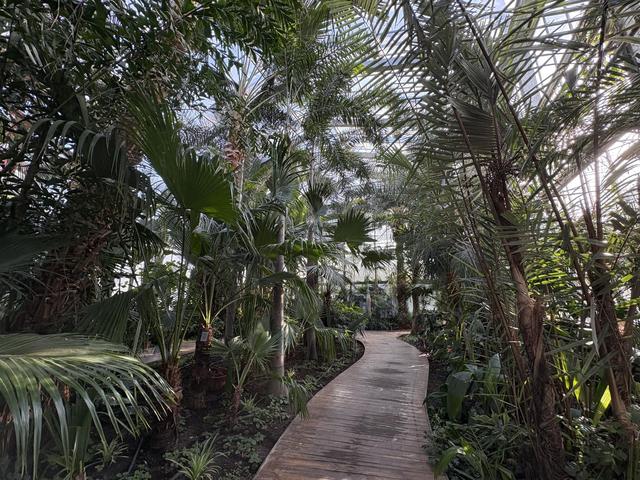 超适合冬日遛娃，北京室内“热带雨林”攻略请收好