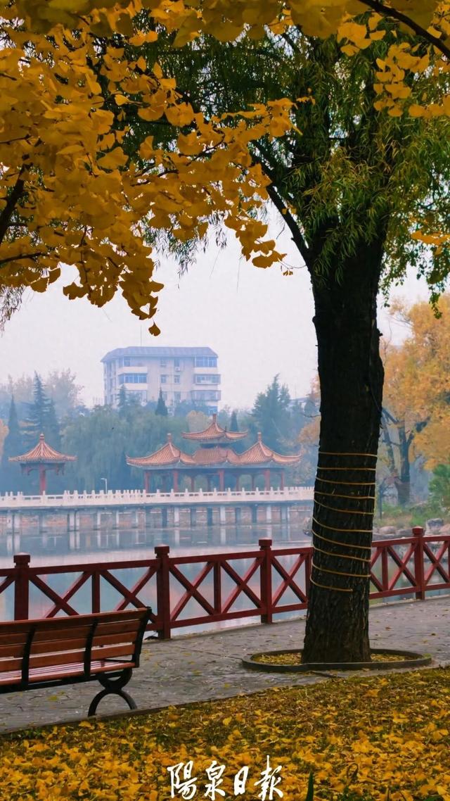 打卡指南！阳泉这些公园美成童话世界！