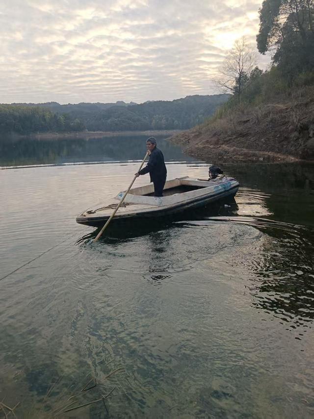 一位退休局长的“桃花源”：独守孤岛养猪种花十余年，希望这里成为旅游景点