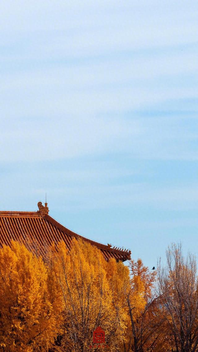 转发收藏！故宫初冬鎏金壁纸上新了