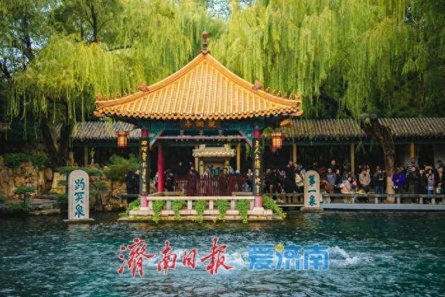 秋日胜景入画来！第46届趵突泉金秋菊展盛装启幕，泉城赏菊盛宴震撼登场