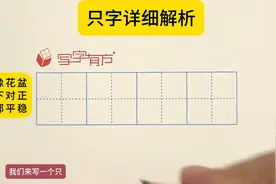 新版小学规范字“只”字详细解析图片