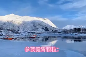 这一味中药，是脾胃的强壮剂图片