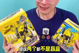 超好玩？！粉丝送来的两盒变形玩具！还真的有点东西！图片