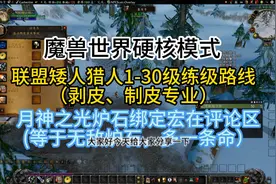 魔兽世界硬核模式联盟矮人猎人1-30级练级路线剥皮、制皮专业图片