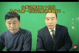 小麦追肥时间#关注扶贫助力攻坚图片