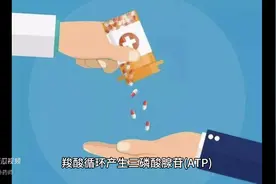 辅酶Q10的8大临床应用，一文总结：图片