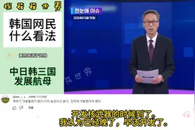 韩媒谈中日韩发展航母，韩网民炸锅，终于换了种味道#航母...图片