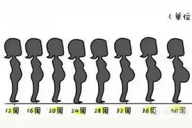 孕妇的肚子是在什么时候悄悄变大的？图片