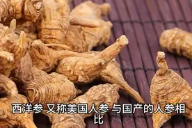 西洋参怎么吃，告诉你正确食用方法，这样吃更有效图片