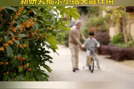 为什么学会骑车一辈子不会忘？研究揭示小脑起关键作用（赵卫华）视频封面