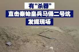 【有“杀器”！直击秦始皇兵马俑二号坑发掘现场】 今年是秦兵马俑考古发掘50周年，工作人员介绍，在二号坑14号过洞，新发现一处“弓韬”遗迹。视频封面