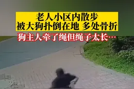 8月20日，湖南。#老人被大狗扑倒在地多处骨折  ，狗主人牵了绳但绳子太长没牵住…视频封面