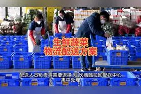 生鲜蔬菜物流配送方案！#食材配送 #团餐配送 #净菜加工视频封面