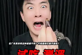 在广东真的有这种蟑螂干吗？不知道你们敢不敢吃？ #蟑螂干 #测评 #试吃 #星仔实测