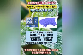 最低温度将下降到0℃以下，巴彦淖尔市气象台5月1日发布#霜冻 蓝色预警信号#天气预报 #降温了大家注意保暖 #便民信息 （刘诗雅）视频封面