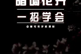 随手拍的春天，如何把花拍出高级感 暗调背景花卉拍摄技巧#手机摄影 #拍花技巧 #记录身边好春光视频封面