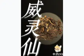 【中药】威灵仙真的有那么神奇吗？ #中医药文化 #中医 #科普视频封面