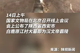重大考古发现！西安白鹿原江村大墓确定为汉文帝霸陵视频封面
