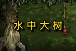 #饥荒 #饥荒联机 水中木，建家必备的水中大树，种起来
