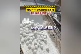 北方元宵和南方汤圆到底有什么区别？看似一样，却从里到外都不同。“南北方差异还挺大的”。#元宵#汤圆#南北方差异视频封面