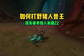 猎人如何打野猪人兽王 #魔兽世界怀旧服 #魔兽世界plus视频封面