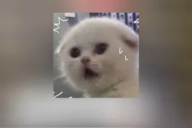 不敢想象邓超有抖音账号我能有多快乐！#邓超说可以整一个抖音号 #电影胜券在握 #邓超视频封面