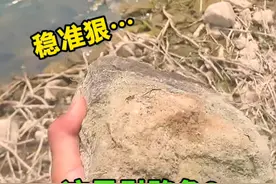 小伙用石头砸鱼，那叫一个稳准狠视频封面
