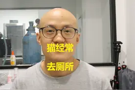 猫经常去上厕所，是因为心情不好~ 猫经常去上厕所
