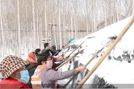 3月3日，山东滨州。为防大雪堆积压塌蔬菜大棚，干群齐心及时清雪排除安全隐患。视频封面