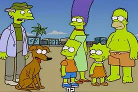 你家里的有没有养猫或者养狗，他们喜不喜欢闯祸 #辛普森一家