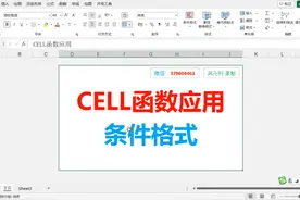 CELL函数应用-条件格式显示对应日期数据 excel#excel #excel技巧视频封面