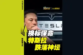 车主换标保命 全球销量暴跌 特斯拉真是被马斯克“作”凉了吗？ #财经 #抖音汽车 #电车 #车星计划