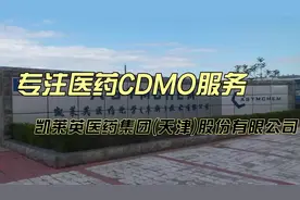 凯莱英是一家怎样的公司？ #凯莱英 #上市公司 #创新药 #CDMO视频封面