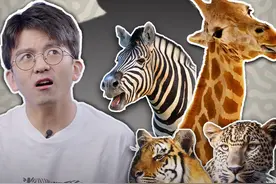 猜猜看，斑马是白马黑条纹？还是黑马白条纹？ #知识前沿派对