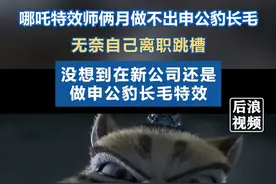 #哪吒特效师曾因修改2个月崩溃离职   换公司后又遇到哪吒。饺子导演：让申公豹长毛就是他的命。#哪吒 #特效师 #离职视频封面