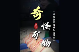 “盘点我在潘家园看到的奇形怪状石头”#地摊 #珠宝 #潘家园 #玉石魅力视频封面