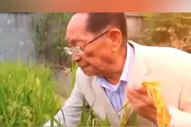 共忆禾下乘凉梦，5月22日，袁隆平院士逝世四周年。 一稻济世，万家粮足。风吹穗浪，饱食者当常忆袁公。#袁隆平逝世四周年