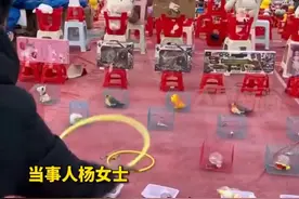 2月4日，山东济宁。女子套圈30元300个一无所获，仔细一看小金猪上被贴了胶带，“一碰就反弹，根本套不住。”视频封面