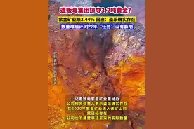遭贩毒集团掠夺3.2吨黄金？紫金矿业大跌2.44%，回应称：盗采确实存在、数量难统计，对今年“任务”没有影响#金融界每日热点 #与财同行 #财经快讯视频封面
