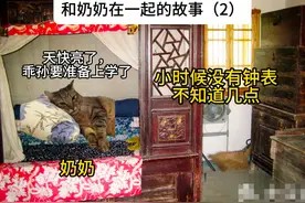 还记的那个很早起来给你做饭的奶奶吗#猫meme #猫meme小剧场视频封面