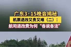 机票退改又贵又难（二）：航司退改费为何“各说各法” #广东315晚会   #315消费者权益日  #机票退改又贵又难视频封面